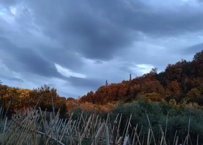 Dimora Bouquet & Gourmet